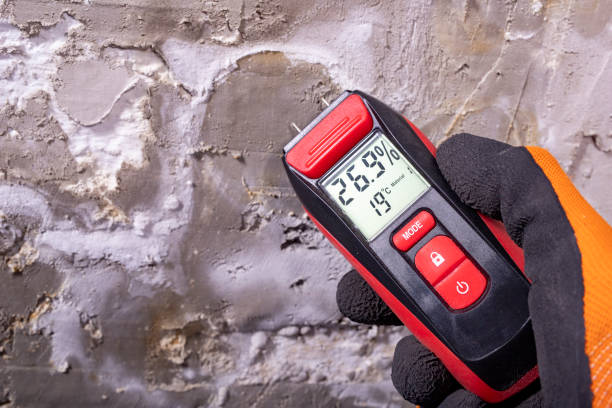 Best Mold Testing  in Amity Gardens, PA